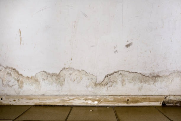 Imgi 16 Flooding Rainwater Or Floor Heating Systems Causing Damage Peeling Paint And Mildew