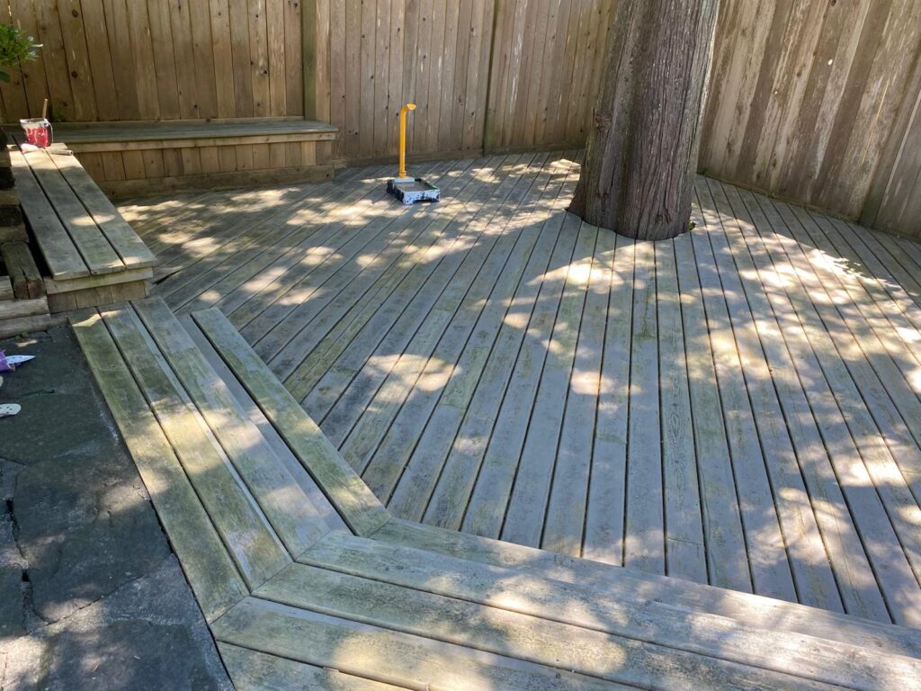 whatsapp image 2026 04 09 at 08.55.59 (4)