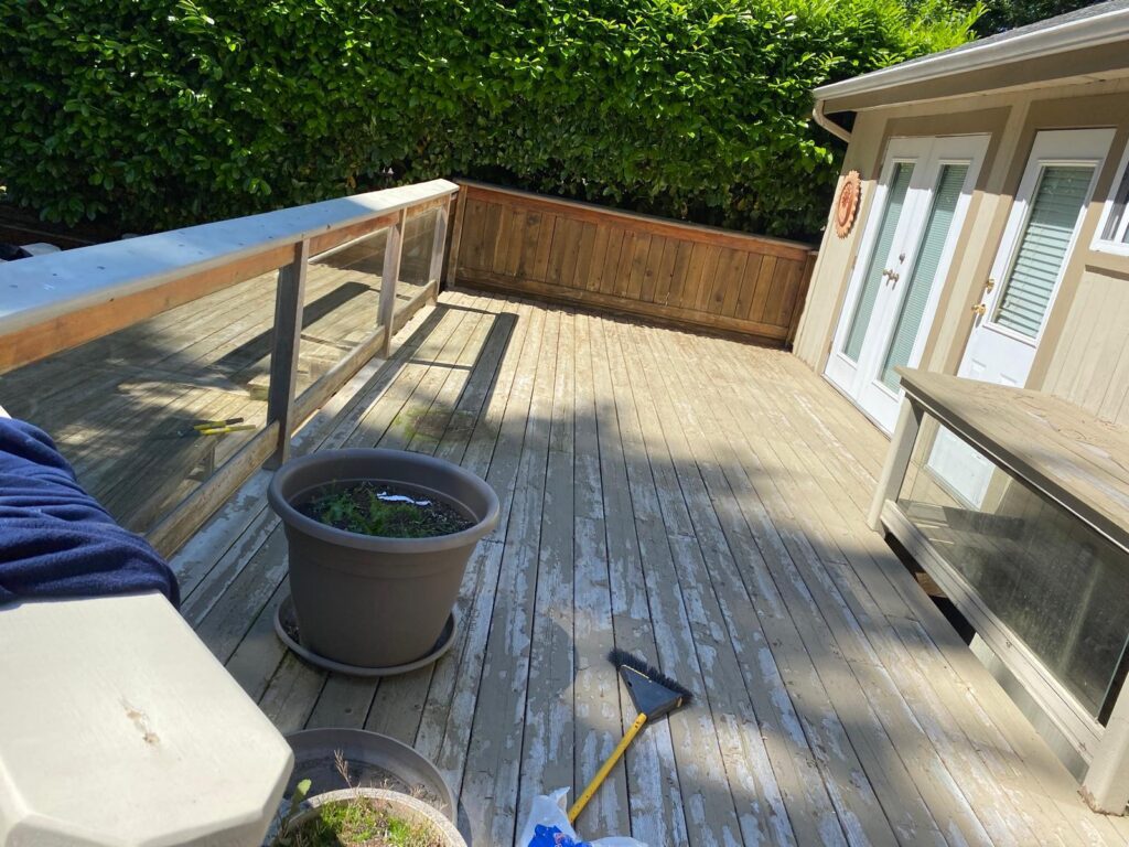 whatsapp image 2026 04 09 at 08.55.59 (5)